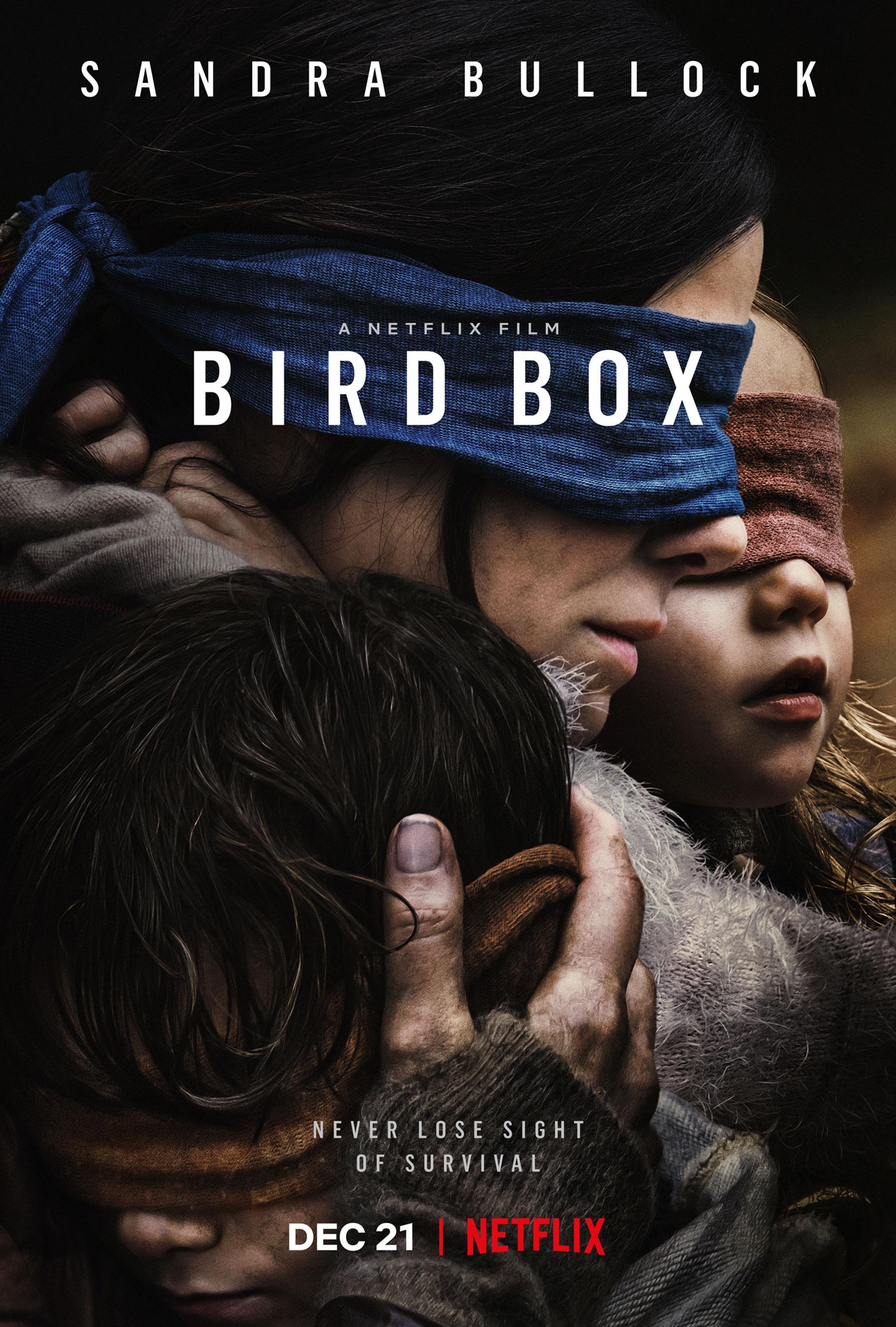 SPD-BirdBox_001.jpg